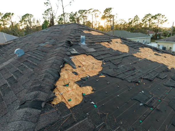 Best Commercial Roofing Services  in Panthersville, GA