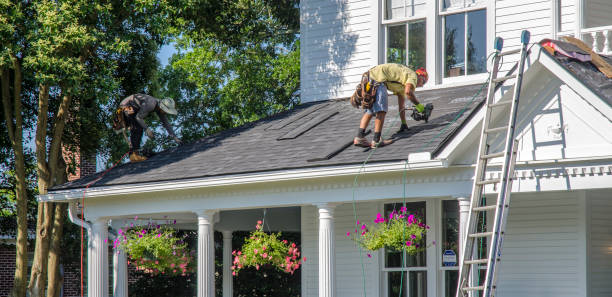 Best Chimney Flashing Repair  in Panthersville, GA